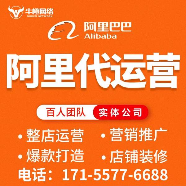 南平电商代运营