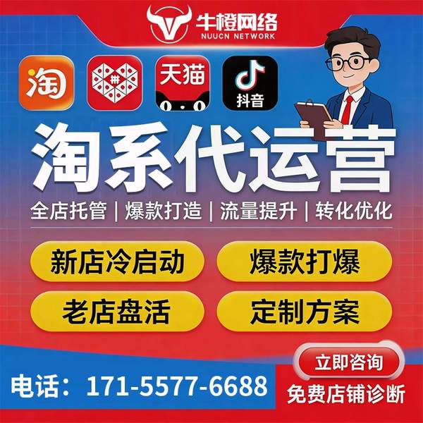 南平电商代运营