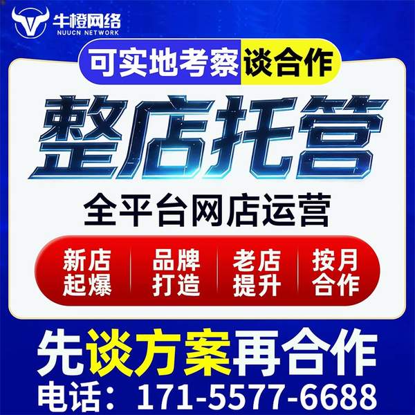 南平电商代运营