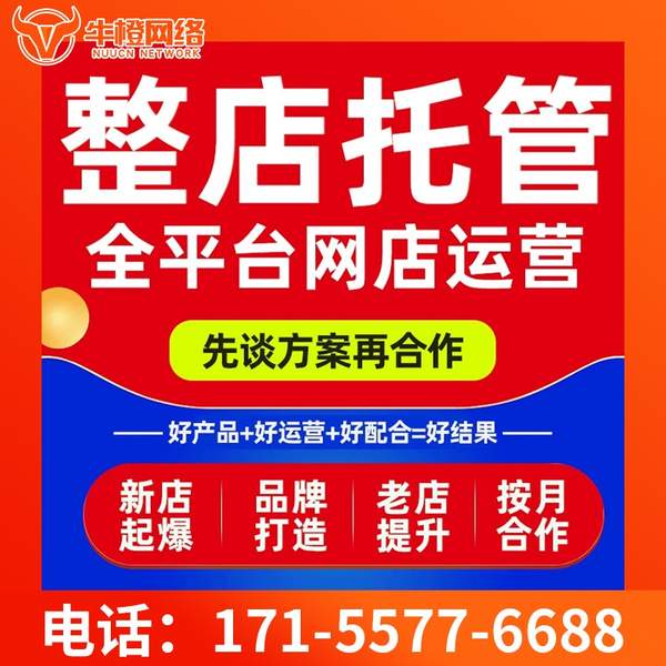 南平电商代运营