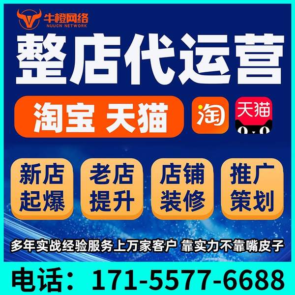 南平电商代运营