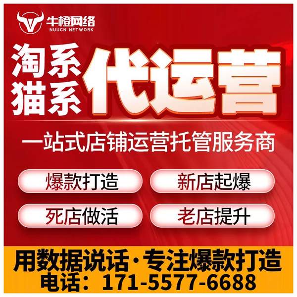 南平电商代运营